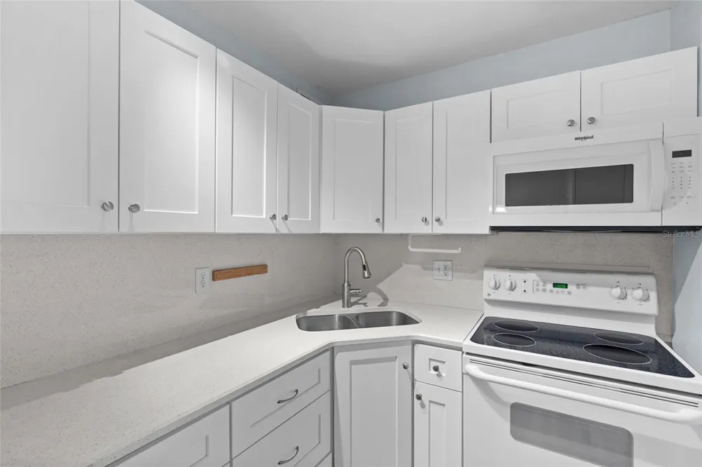209 NE LINCOLN CIRCLE #109 St Petersburg, FL 33702