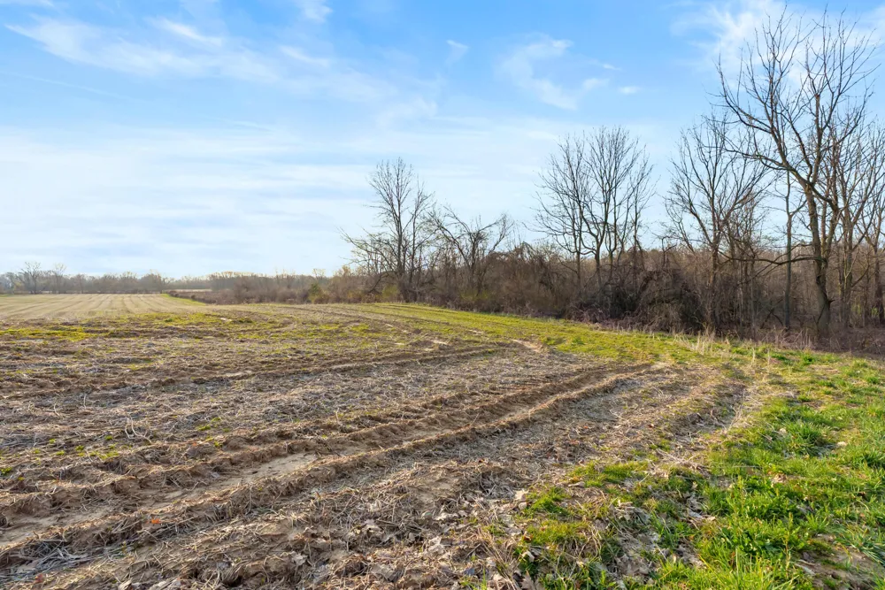 2 Red Bud Trail Berrien Springs, MI 49103
