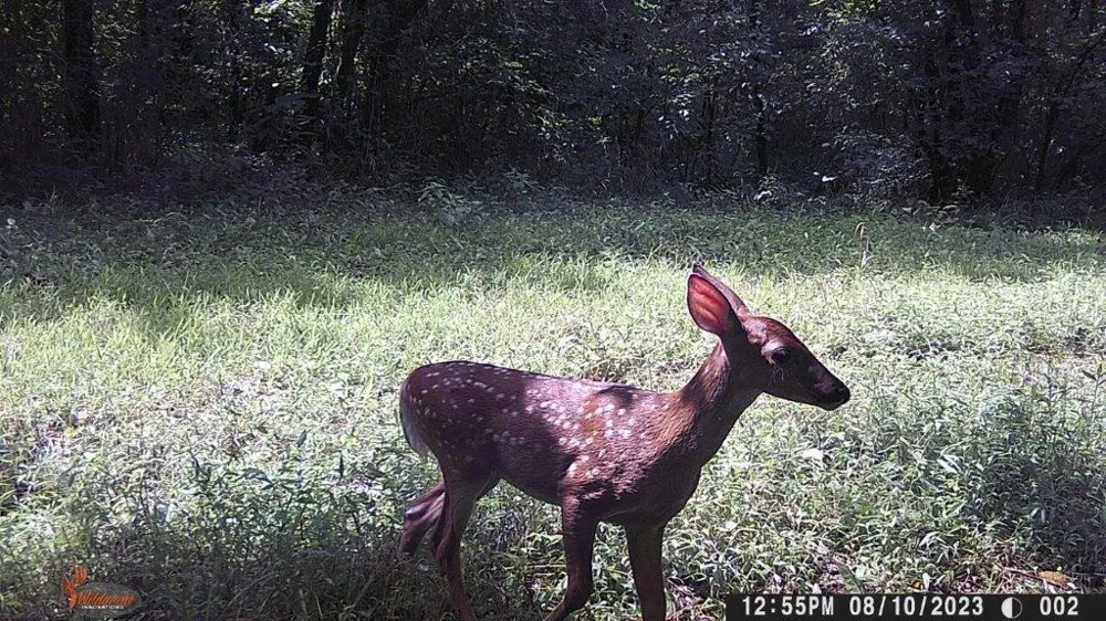450 County Road 28 Calhoun, TN 37309