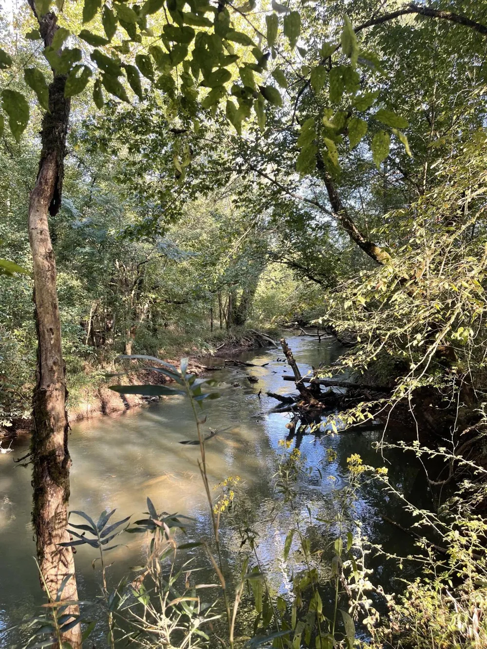 450 County Road 28 Calhoun, TN 37309