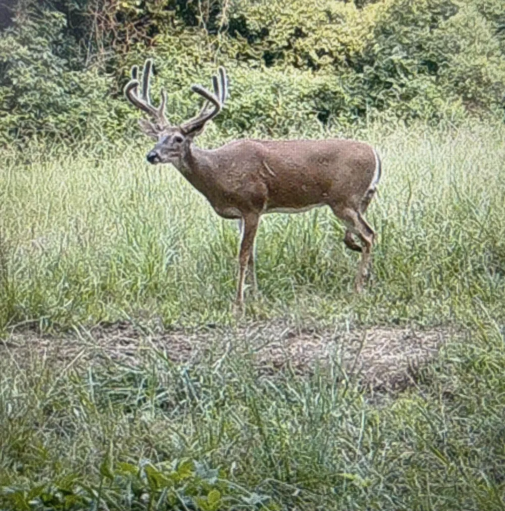 450 County Road 28 Calhoun, TN 37309