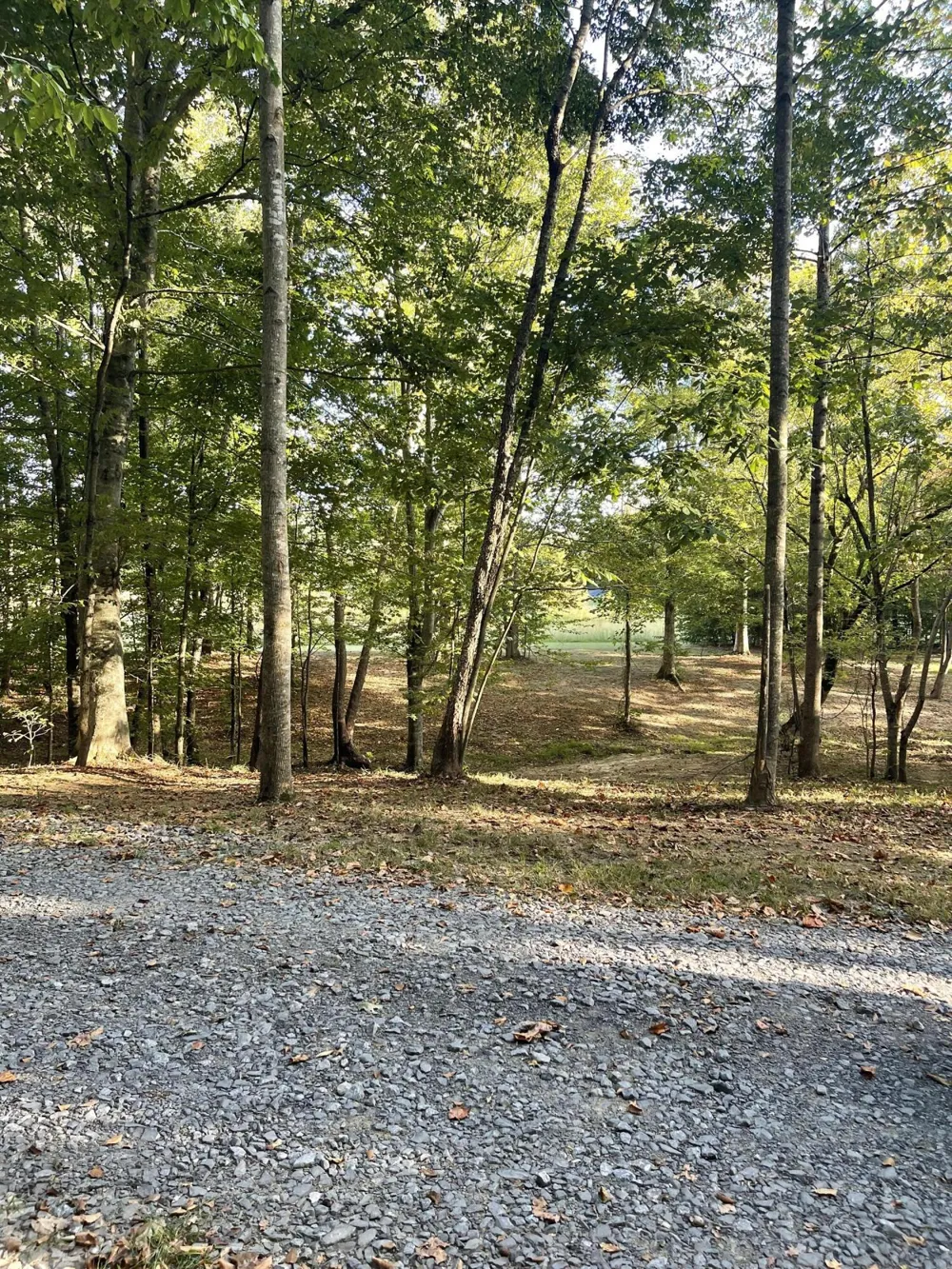 450 County Road 28 Calhoun, TN 37309