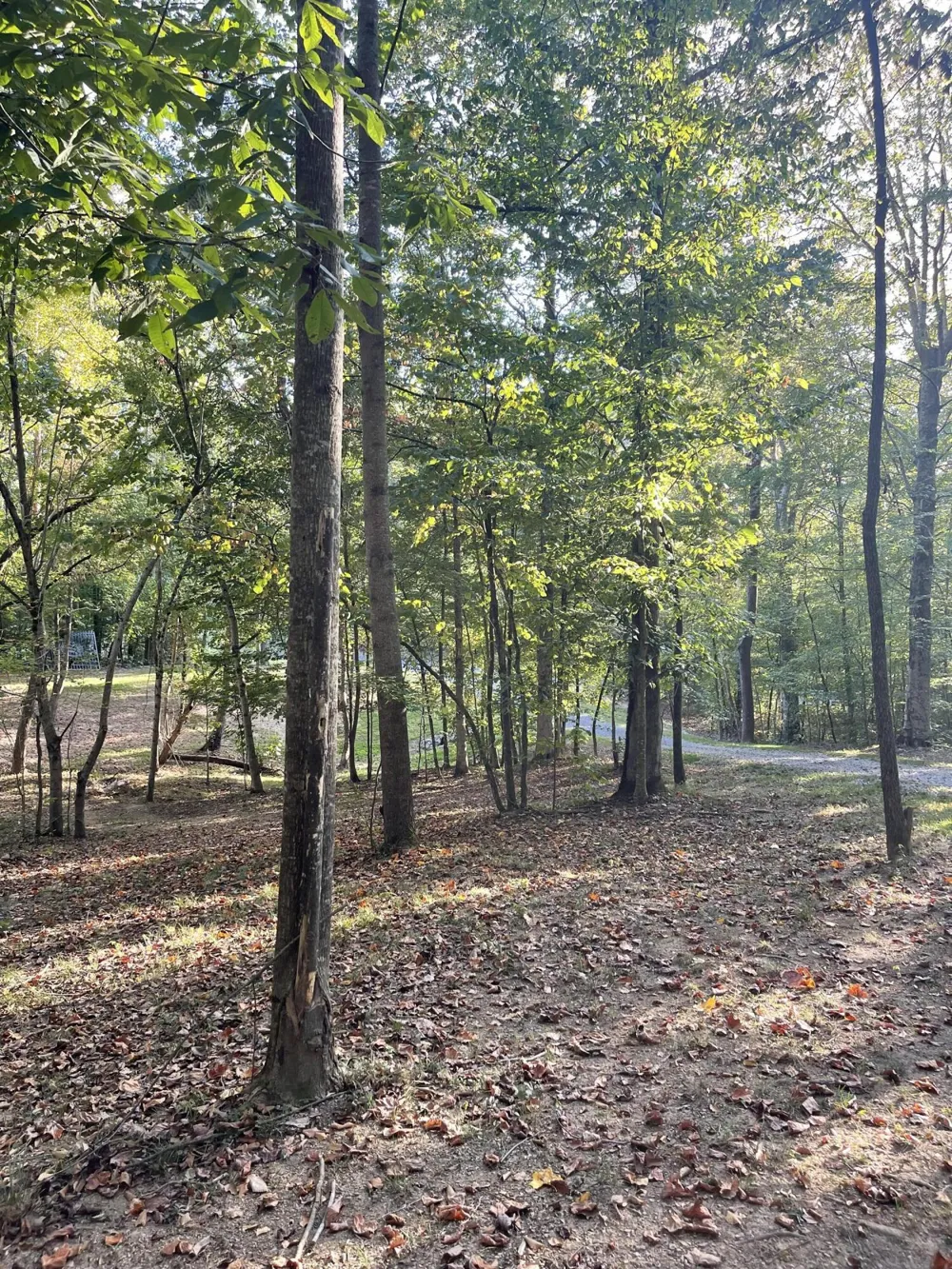 450 County Road 28 Calhoun, TN 37309