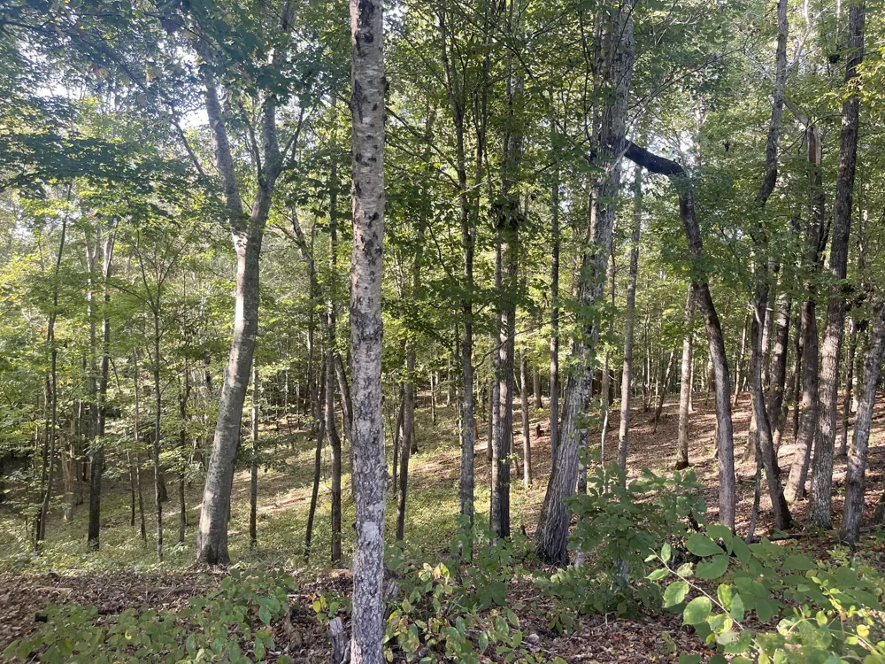 450 County Road 28 Calhoun, TN 37309