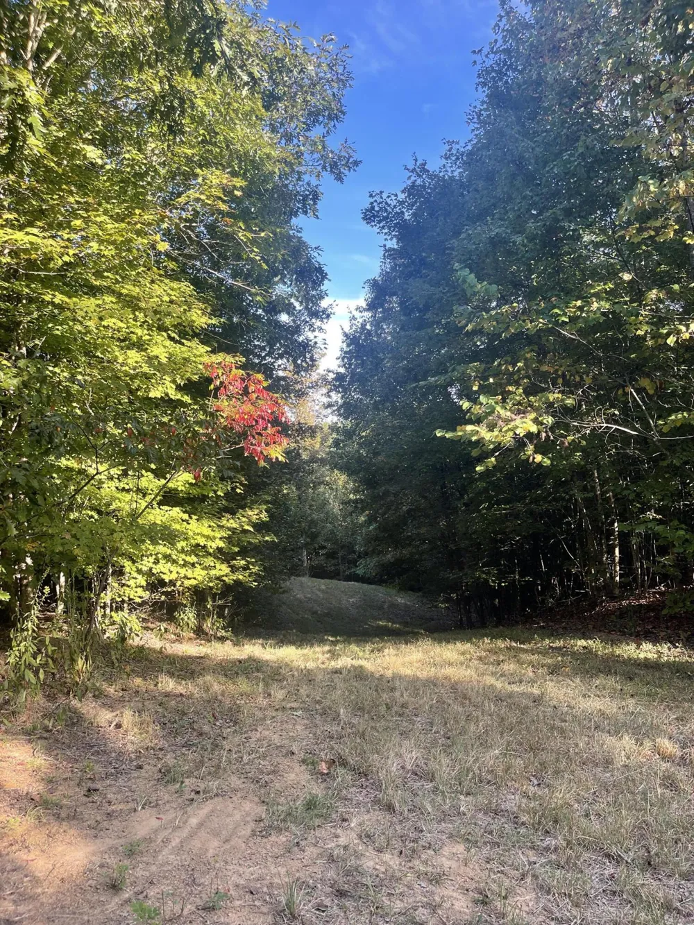 450 County Road 28 Calhoun, TN 37309