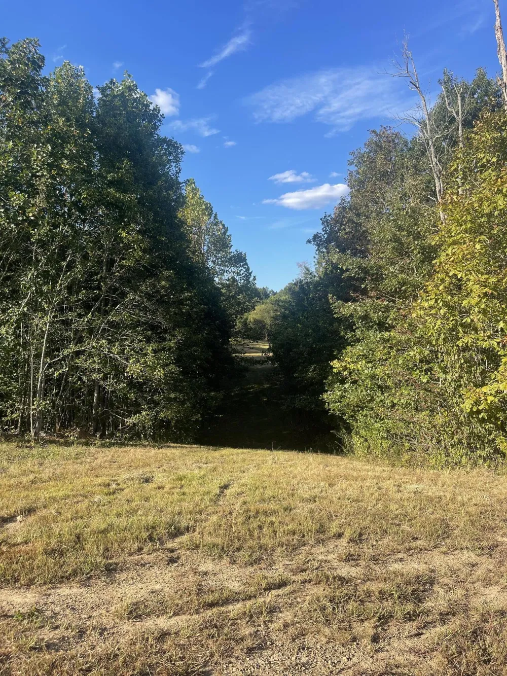 450 County Road 28 Calhoun, TN 37309