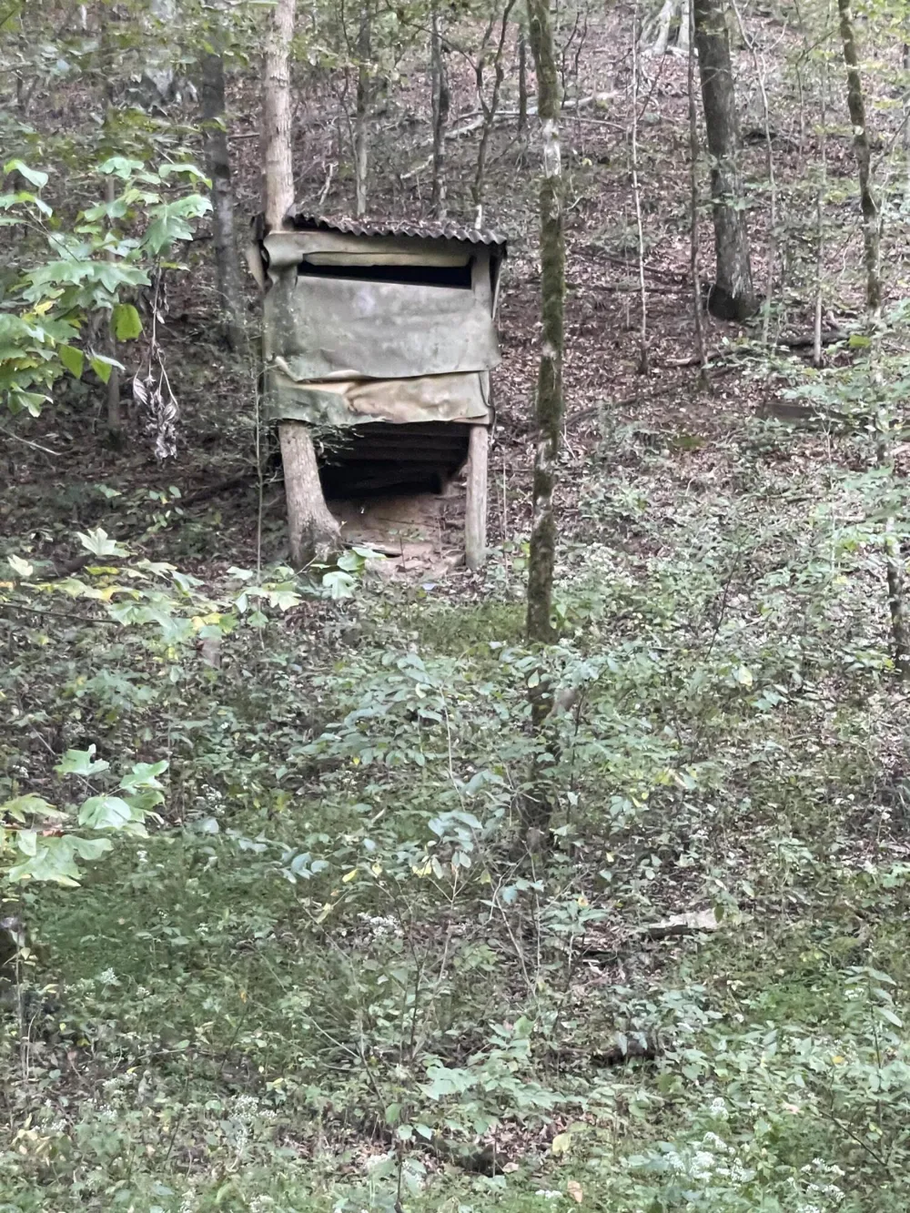 450 County Road 28 Calhoun, TN 37309