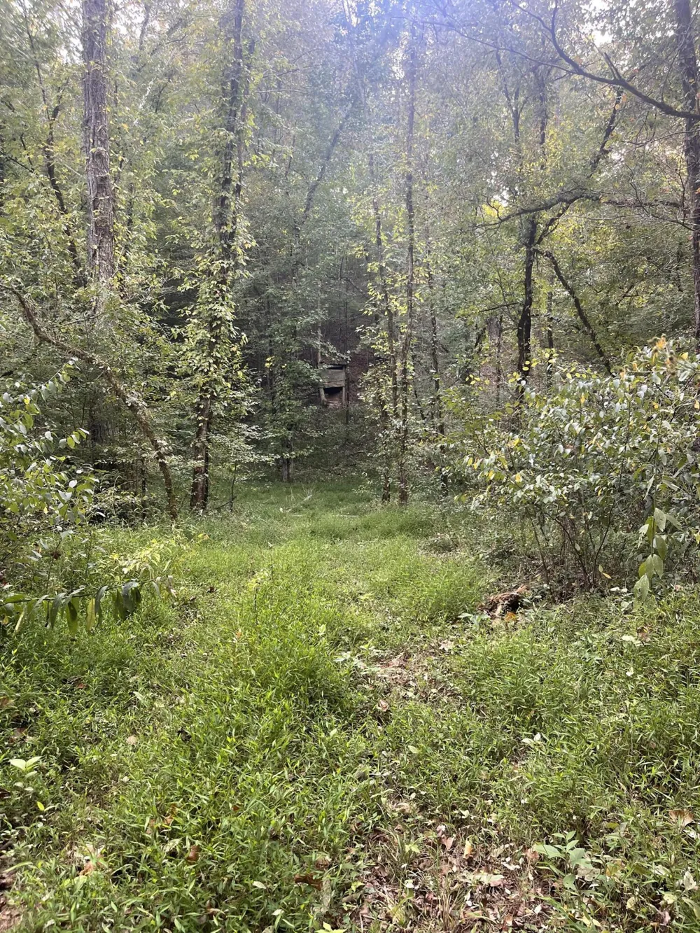 450 County Road 28 Calhoun, TN 37309