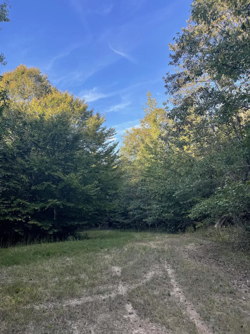 450 County Road 28 Calhoun, TN 37309