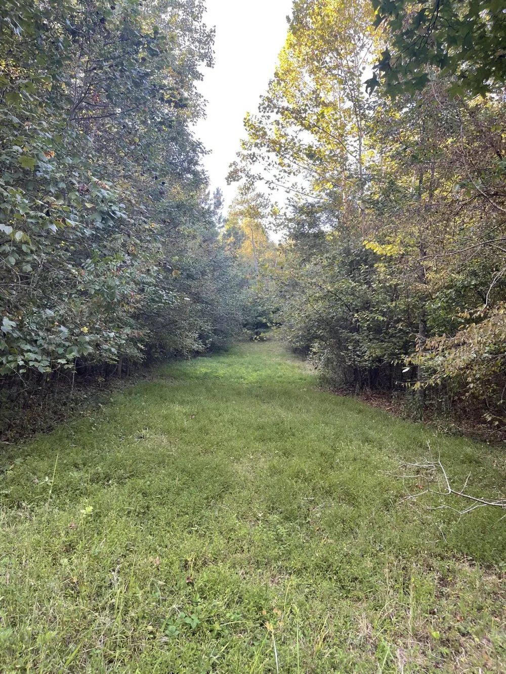 450 County Road 28 Calhoun, TN 37309