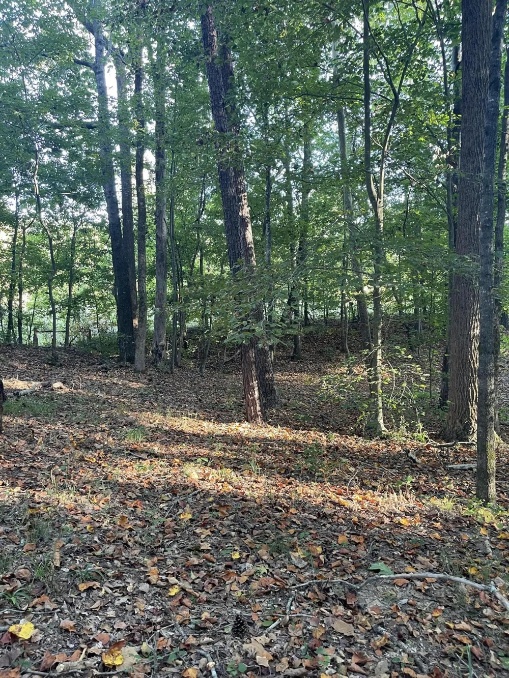 450 County Road 28 Calhoun, TN 37309