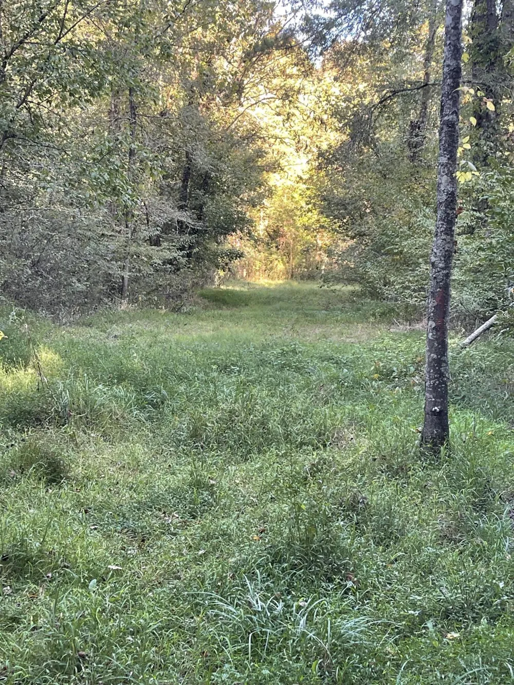 450 County Road 28 Calhoun, TN 37309