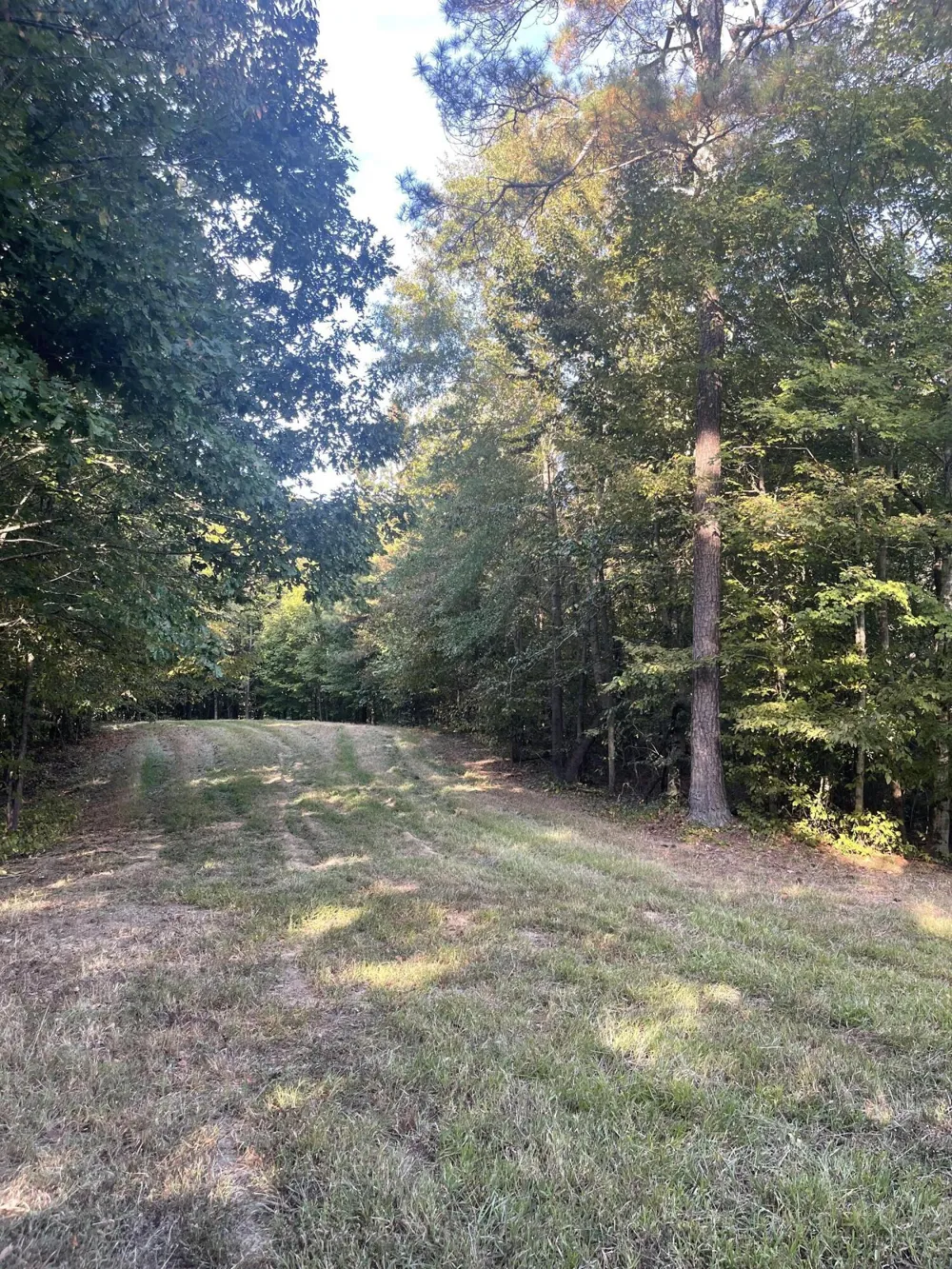 450 County Road 28 Calhoun, TN 37309