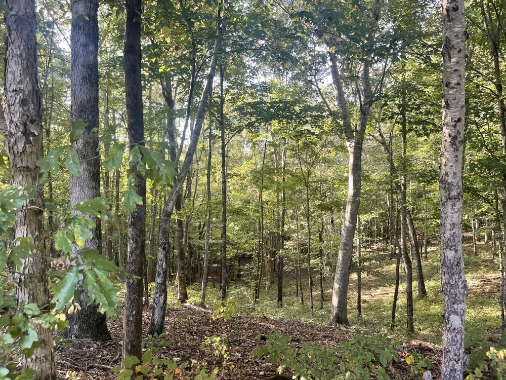 450 County Road 28 Calhoun, TN 37309