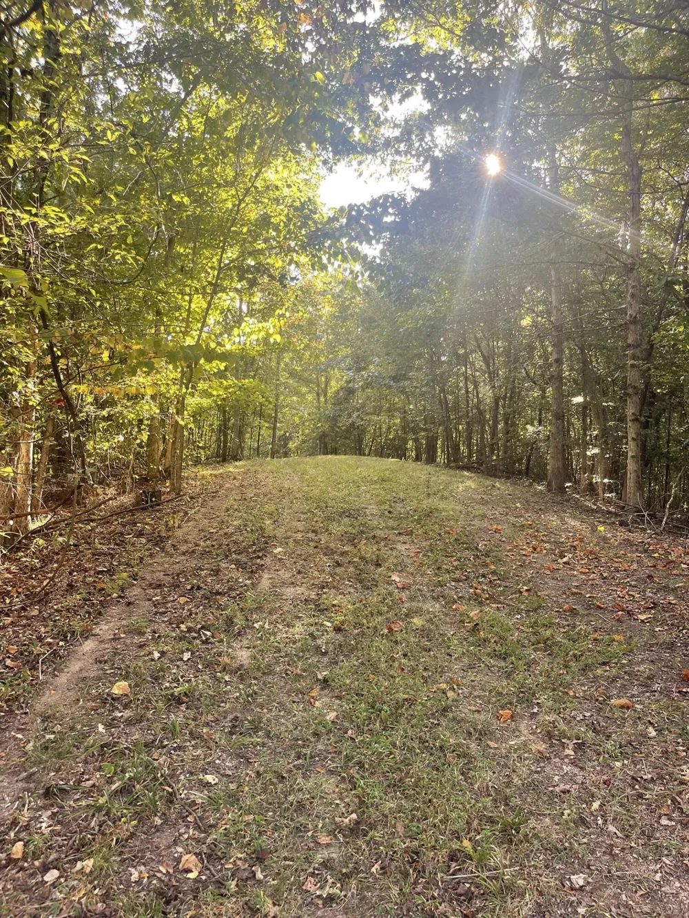 450 County Road 28 Calhoun, TN 37309