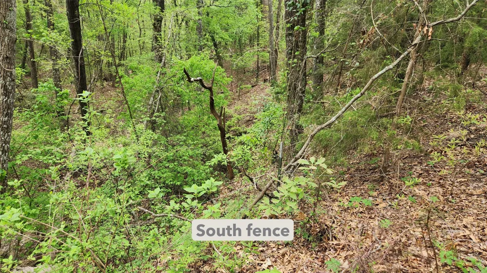 FM 115 Scroggins, TX 75480