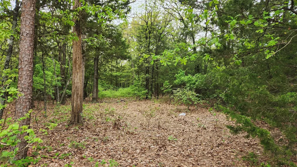 FM 115 Scroggins, TX 75480