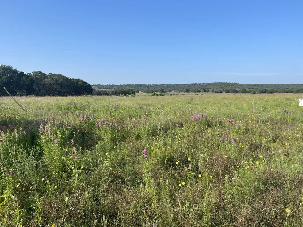 Fm 1690 Gatesville, TX 76528