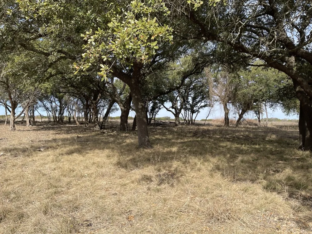 Fm 1690 Gatesville, TX 76528