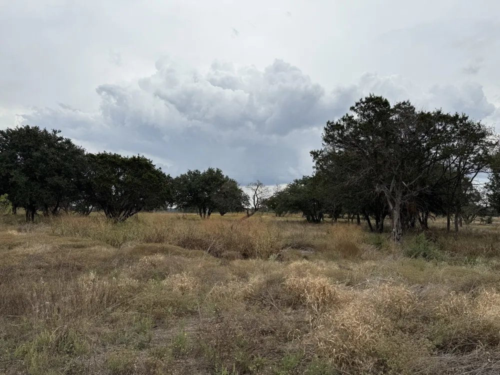 Fm 1690 Gatesville, TX 76528