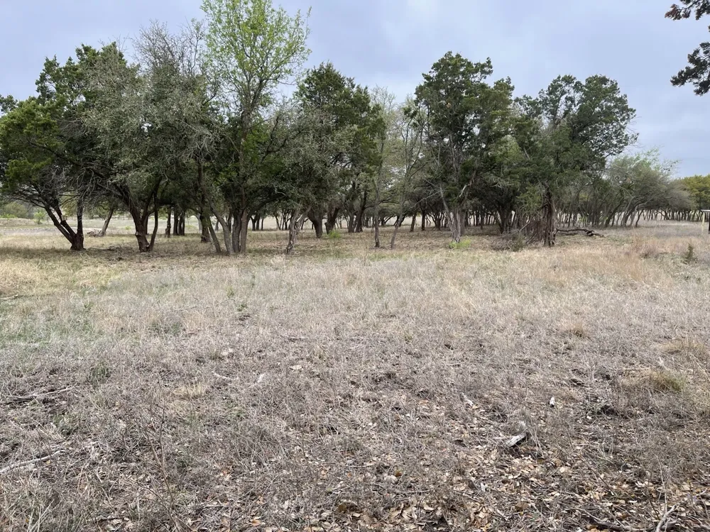 Fm 1690 Gatesville, TX 76528