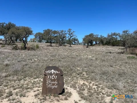 1161 Brads Flight