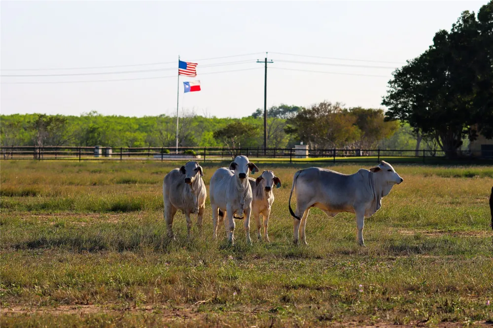 3 E State Highway 87 Nixon, TX 78140