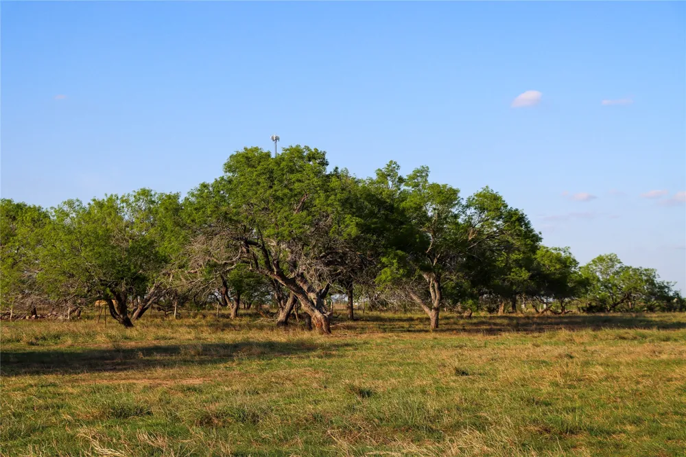 3 E State Highway 87 Nixon, TX 78140