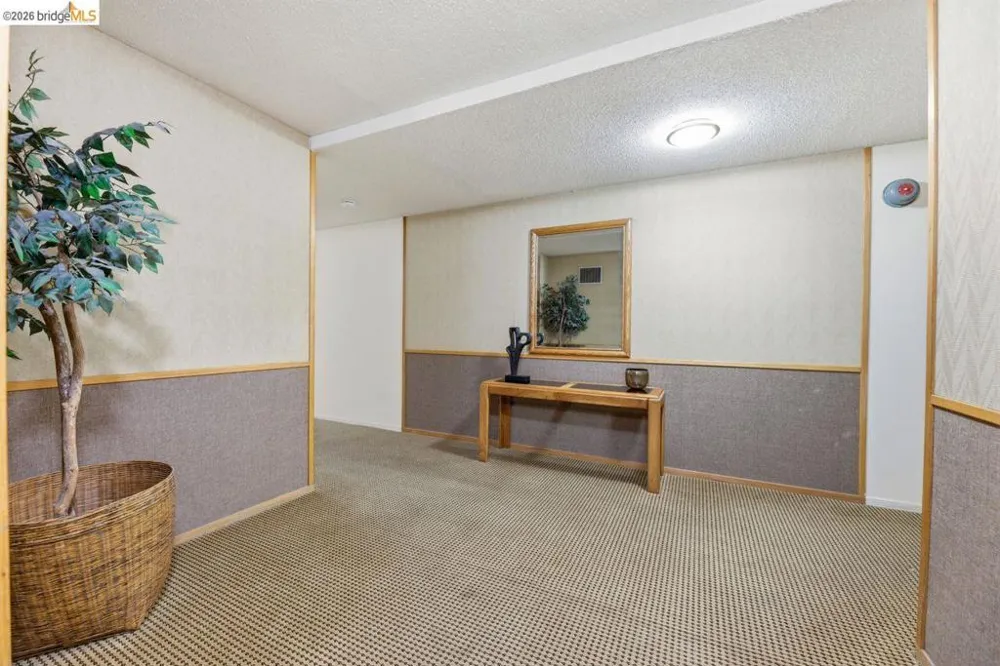 811 York St #237 Oakland, CA 94610