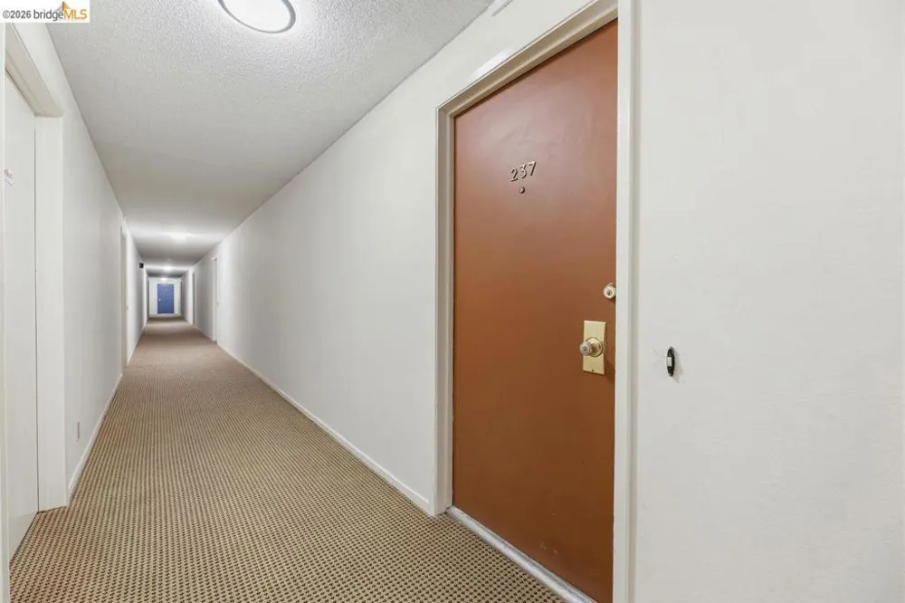 811 York St #237 Oakland, CA 94610