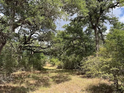 Private Road 1581 Road