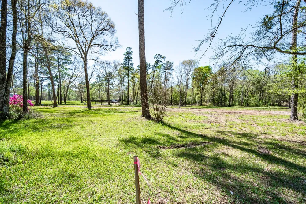 Thomas Lane Huffman, TX 77336