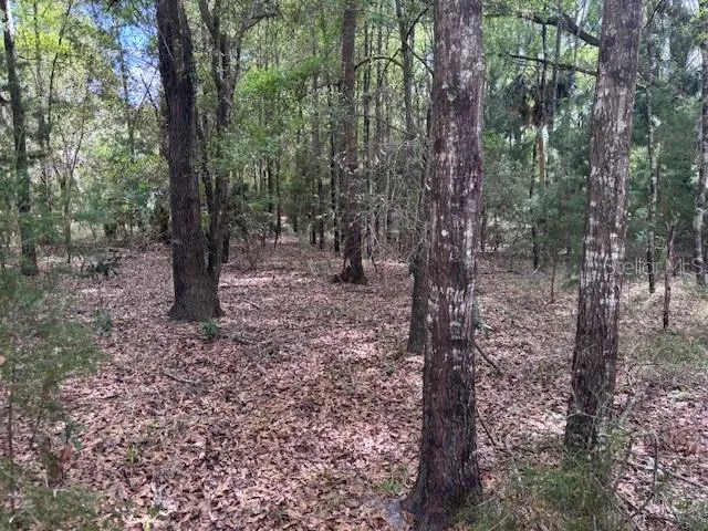 1.77 acres NW 73 STREET Chiefland, FL 32626