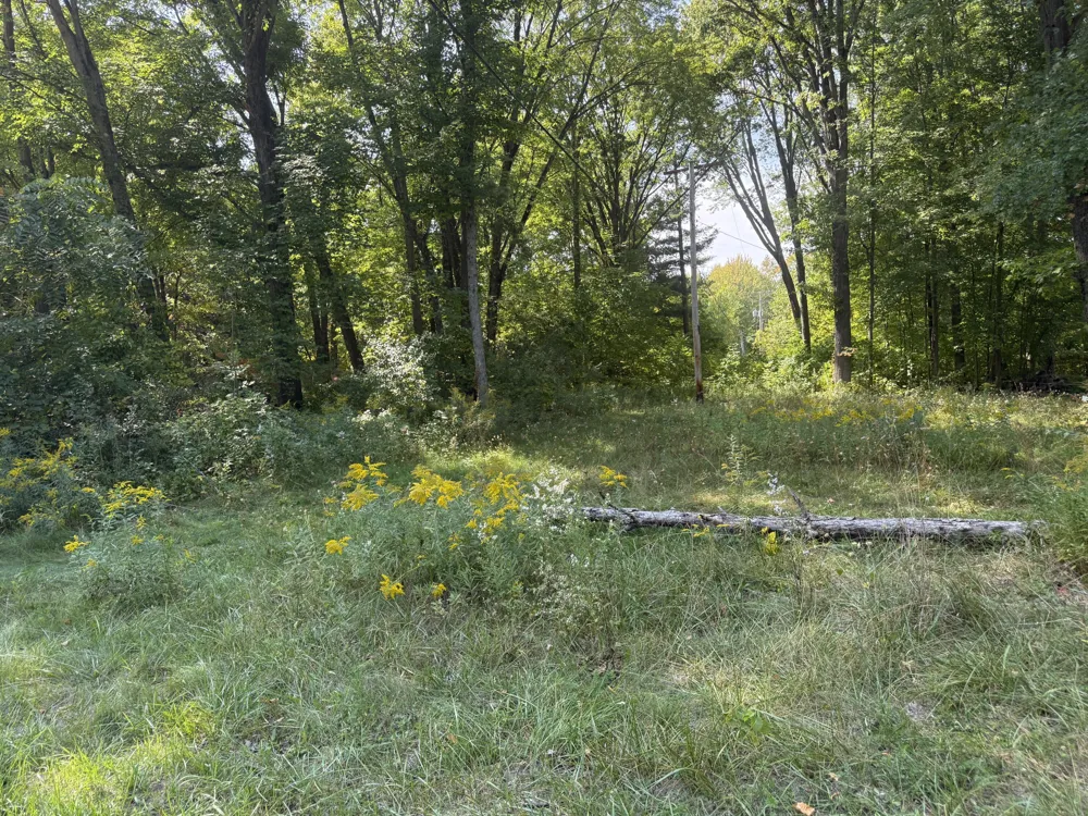 Carol Street Newaygo, MI 49337