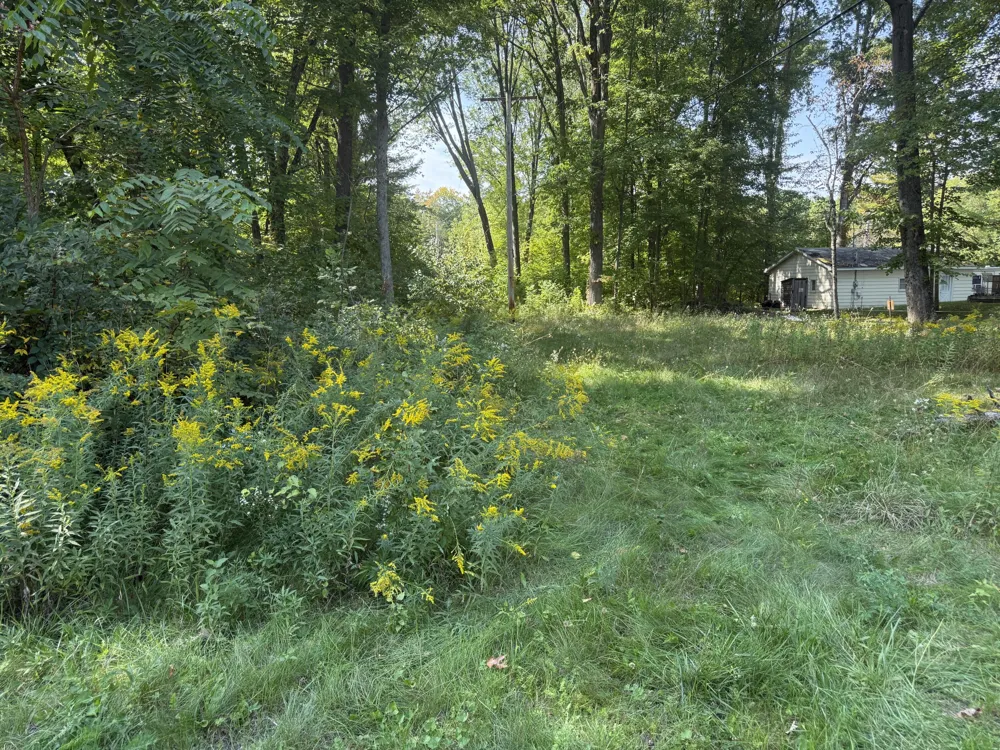 Carol Street Newaygo, MI 49337