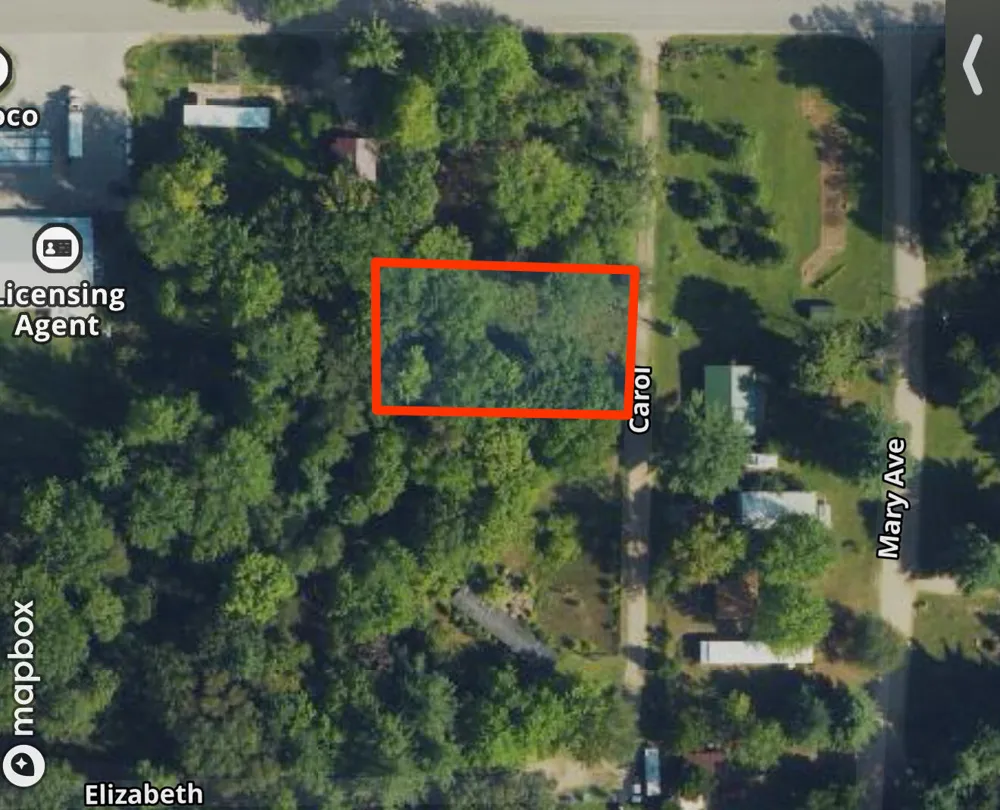 Carol Street Newaygo, MI 49337