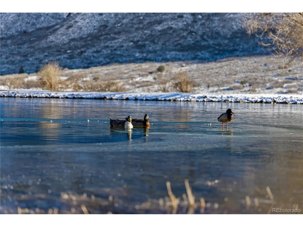 22675 Highway 141 Whitewater, CO 81527