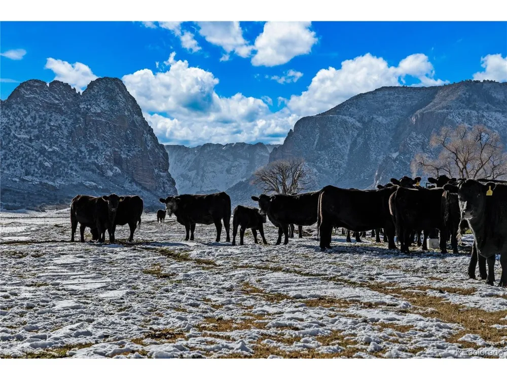 22675 Highway 141 Whitewater, CO 81527
