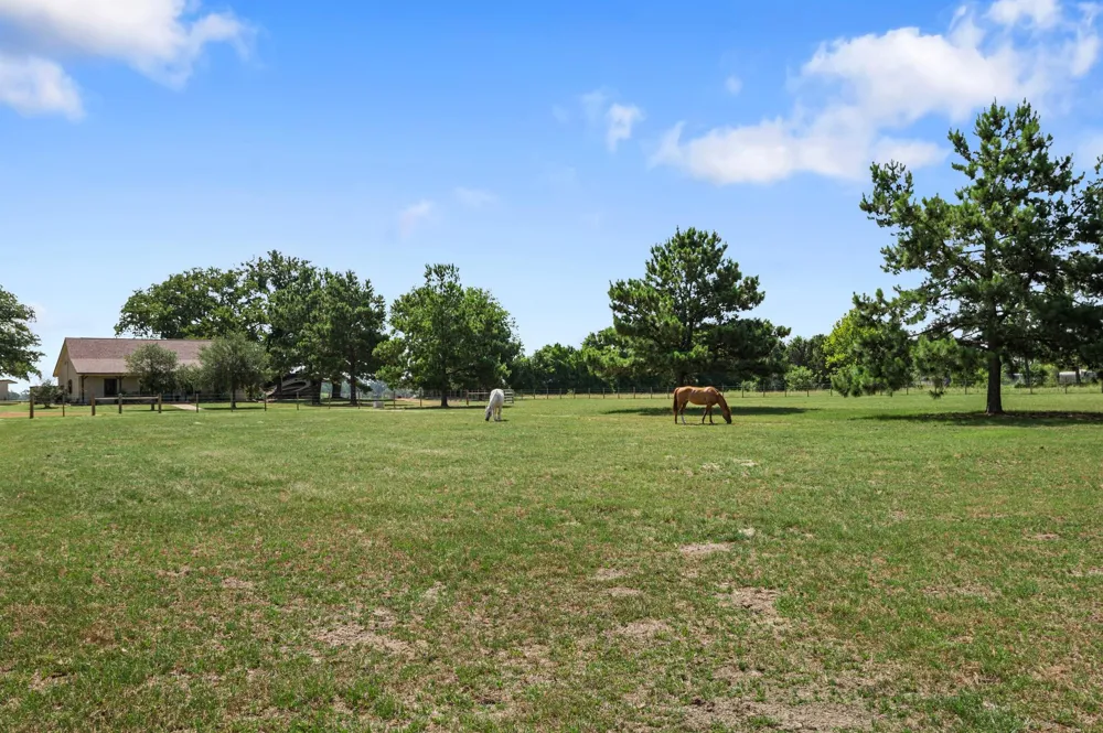 384 County Road 1875 Grapeland, TX 75844
