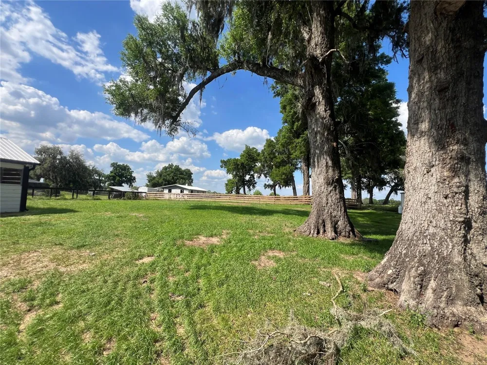 1575 NE 100TH STREET Anthony, FL 32617