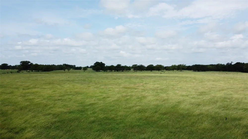 11742 Dane Road Pilot Point, TX 76258