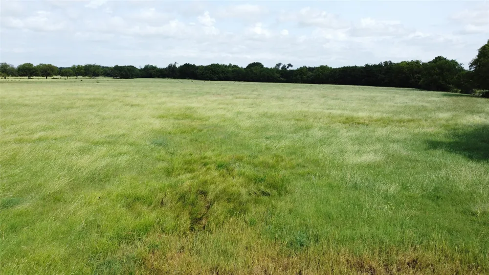 11742 Dane Road Pilot Point, TX 76258