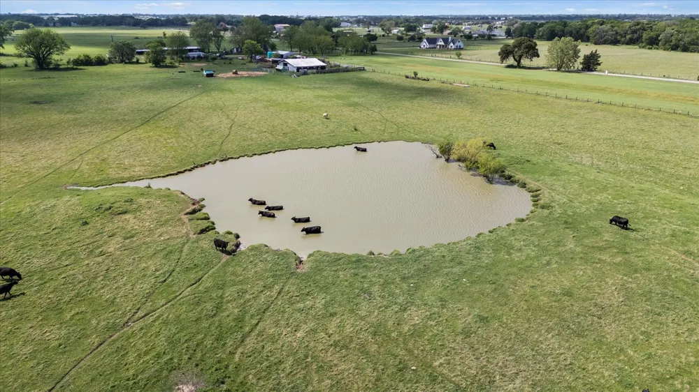 11742 Dane Road Pilot Point, TX 76258