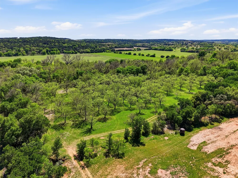 12011 Paradise Boulevard Bluff Dale, TX 76433
