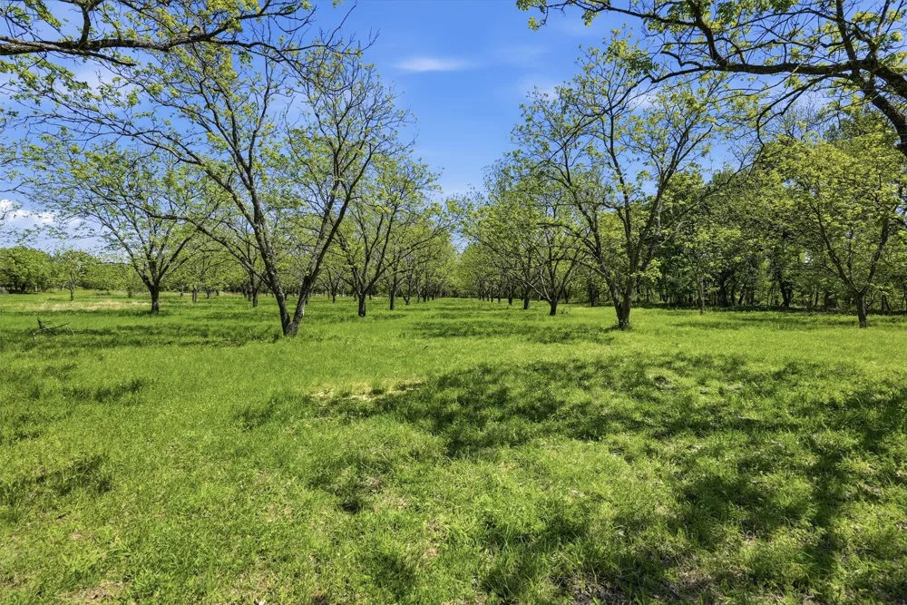 12011 Paradise Boulevard Bluff Dale, TX 76433