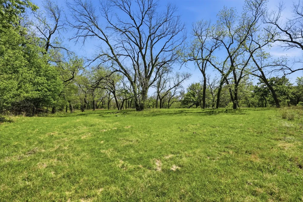 12011 Paradise Boulevard Bluff Dale, TX 76433