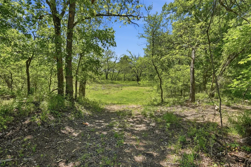 12011 Paradise Boulevard Bluff Dale, TX 76433