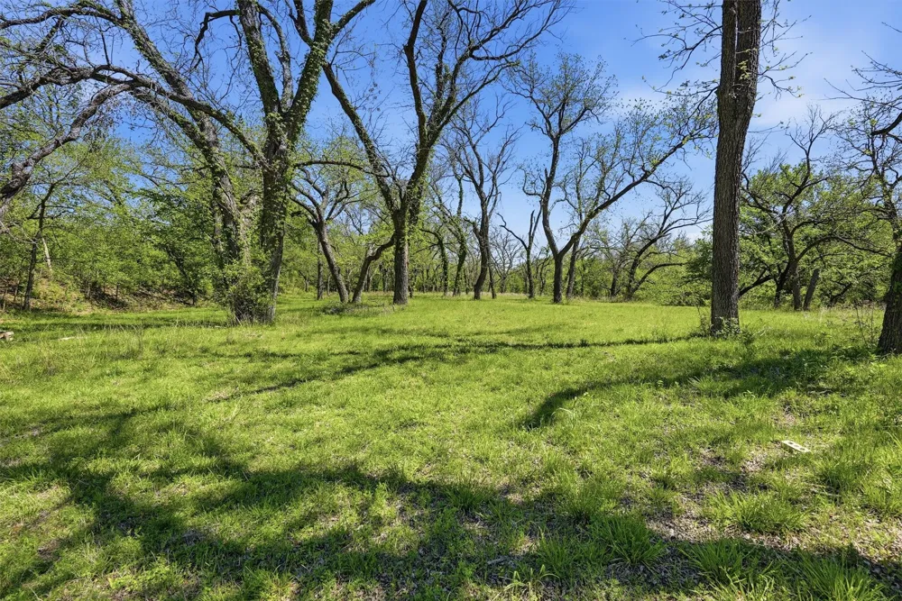 12011 Paradise Boulevard Bluff Dale, TX 76433