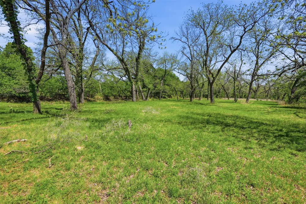 12011 Paradise Boulevard Bluff Dale, TX 76433