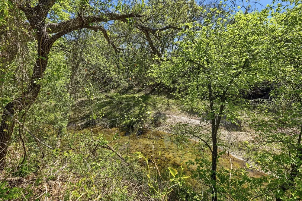 12011 Paradise Boulevard Bluff Dale, TX 76433